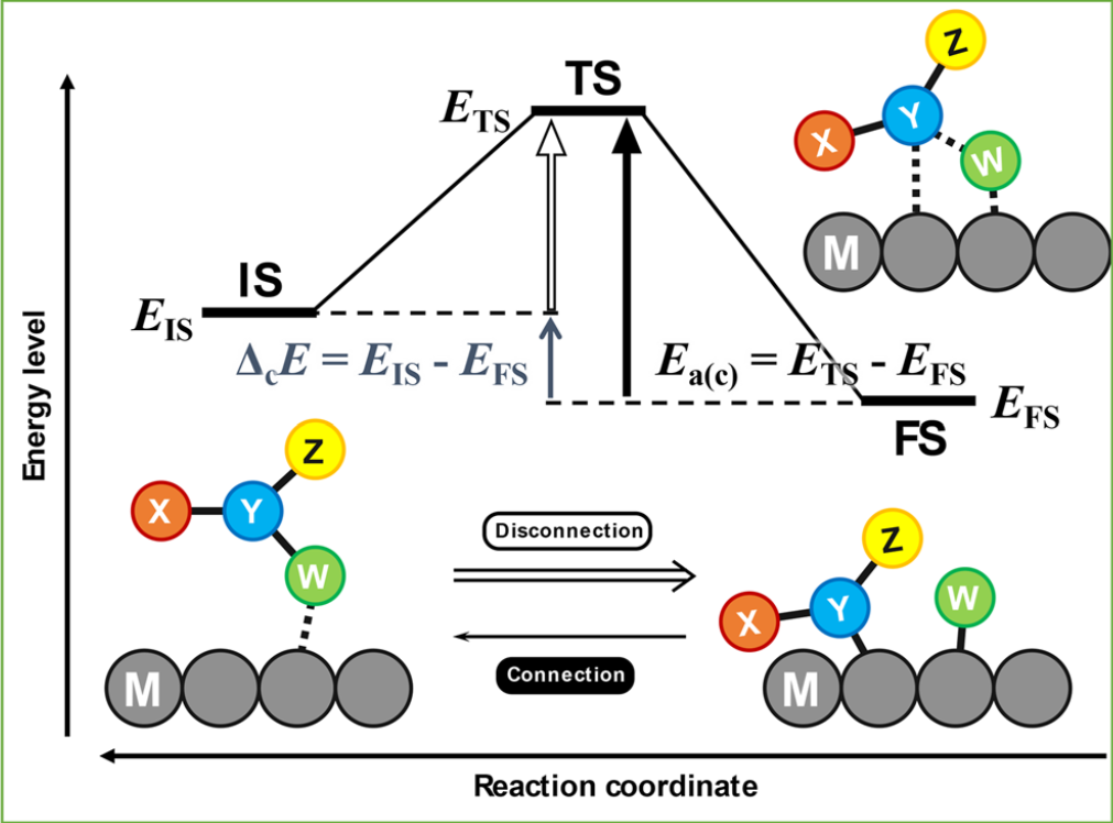 A paper about a dissociation analysis of acetic acid