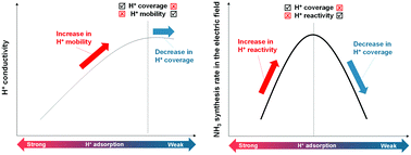 A paper about the governing factors in hydrogen adsorption on CeO2 using doping strategy